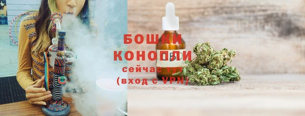 прущий лед Бородино