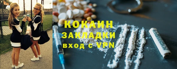 прущий лед Бородино