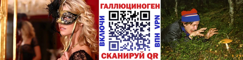 Псилоцибиновые грибы Psilocybe  Дыгулыбгей 